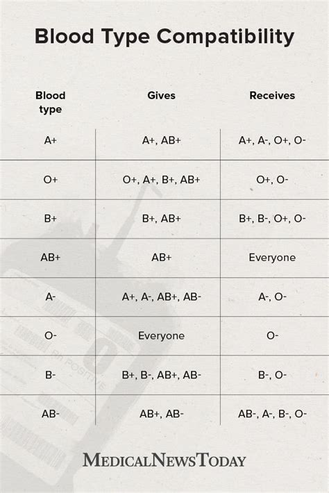 Different blood types – Artofit