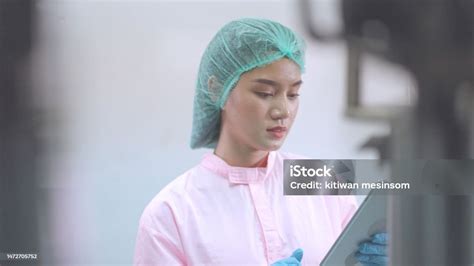 Portrait Of Female Production Line Worker Wearing Hairnet And Sterile ...