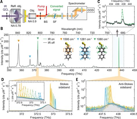 Continuous Wave Frequency Upconversion With A Molecular Optomechanical