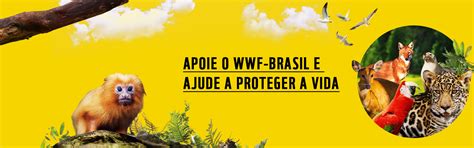 Brasil Wwf Brasil