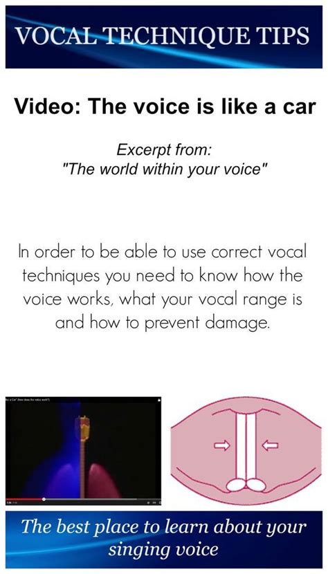 In Order To Be Able To Use Correct Vocal Techniques You Need To Know