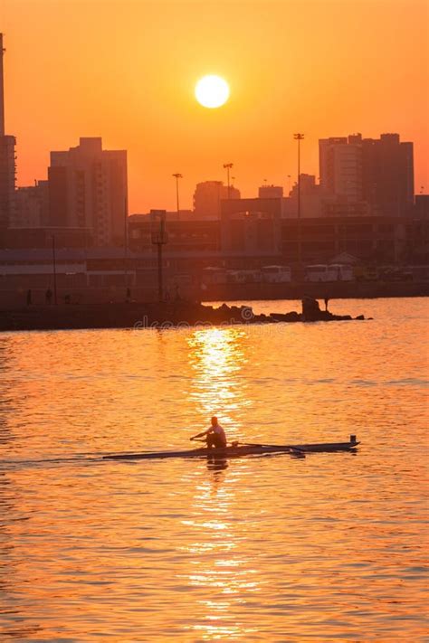 Regatta Rowing Skull Sunrise Colors Stock Photos Free And Royalty Free