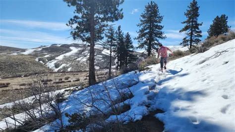 Best Backpacking Trails In Carson City Alltrails