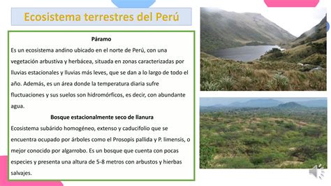 Ecosistemas Del Per Pptx