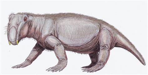 Triassic Animals – Discover The Animals That Lived In The Triassic Period