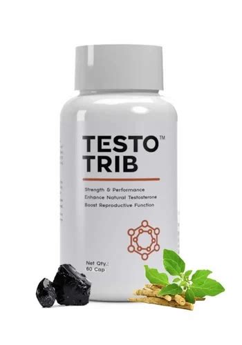 Testo Trib Natural Testosterone Booster 60 Capsules Pack At Rs 1000box Testosterone