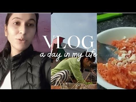 Ajj Bnaya Gajar Ka Halwa A Day In My Life Day Routine Vlog Preeti