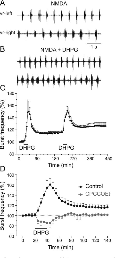 Figure From Long Term Plasticity Of The Spinal Locomotor Circuitry