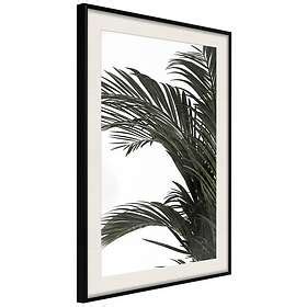 Artgeist Poster Affisch Jungle Treasures Poster 20x30 A3 DRBPRP1399s