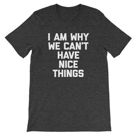 I Am Why We Cant Have Nice Things T Shirt Unisex Dark Grey Heather