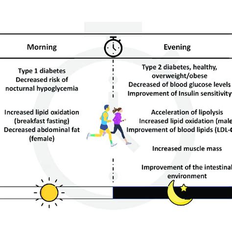 The Effect Of Different Exercise Timings On Metabolic Health