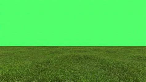 Airplane green screen Stock Photos, Royalty Free Airplane green screen ...