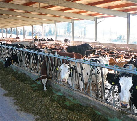 Em Einsatz In Der Landwirtschaftlichen Nutztierhaltung Teil Em E V