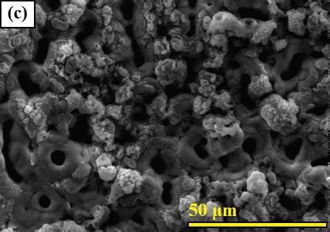 Sem Surface Micrographs Of The Peo Coatings A A B B C C And