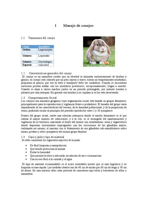 Taxonomía Del Conejo Pdf Agua Alimentos