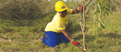 Branch Ep Home Department Of Forestry Fisheries And The Environment