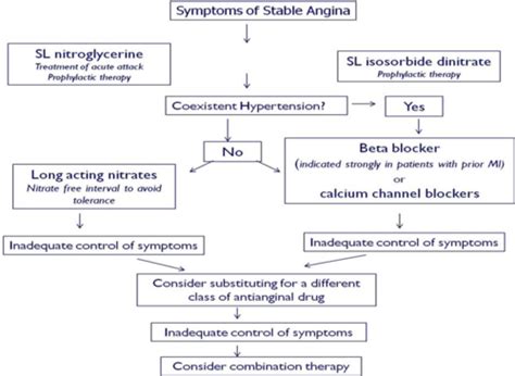 Pharmacology Unit 2 Anti Anginals Flashcards Quizlet