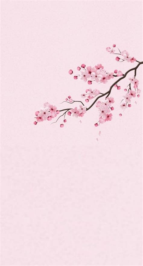 Cherry Blossom Wallpaper