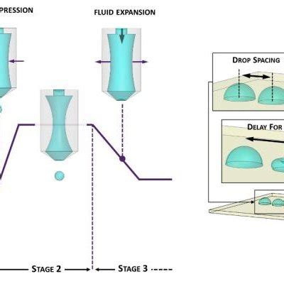 Schematic diagram showing the inkjet printing process on a structured ...