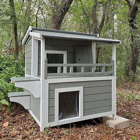 10 Best Outdoor Cat Houses Of 2024