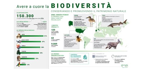 Diversi Tipi Di Habitat