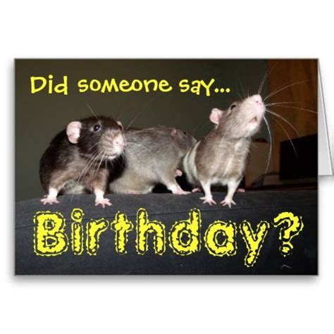 Rat Birthday Card Birthday Cards Cards Cute Rat