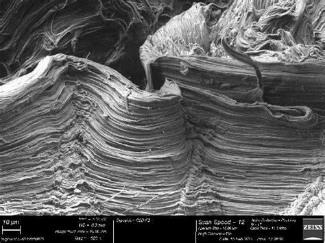 Polymer Fracture Behavior How Materials Performance Is Linked To