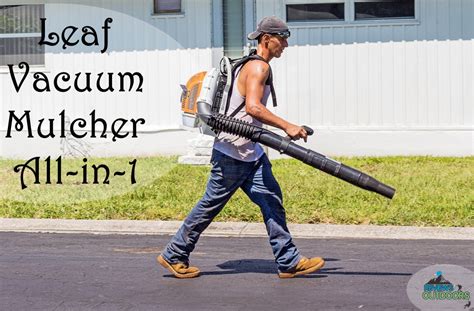 The 8 Best Leaf Vacuum Mulchers to Use in | 2019 - Reviews Outdoors