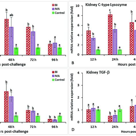 The Gene Expression Of Il A C Type Lysozyme B Tnf C And