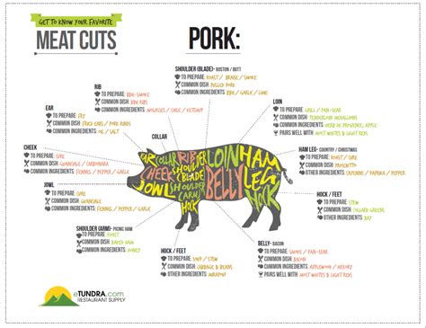 Know Your Cuts Pork Tundra Restaurant Supply