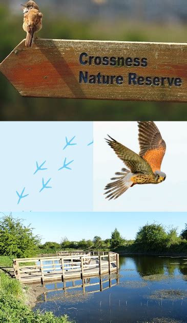 Crossness Nature Reserve | Days out | Thames Water