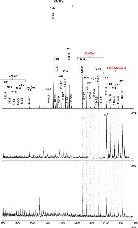 Reflectron Positive Mode Maldi Tof Mass Spectra Of Glycolipids Isolated