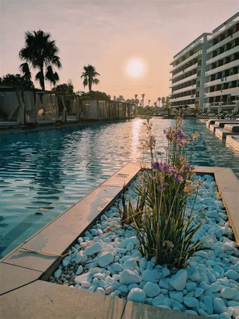 Pool Chrysomare Beach Hotel Resort Agia Napa Ayia Napa