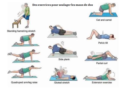 Exercices Pour Hernie Discale Fiche Pratique Sur Lavise Fr