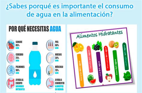 Alimentos Con Alto Contenido De Agua Beneficios Y Recomendaciones