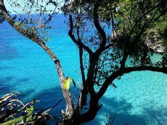 Frenchman S Cove Ideas Cove Jamaica Caribbean Holidays