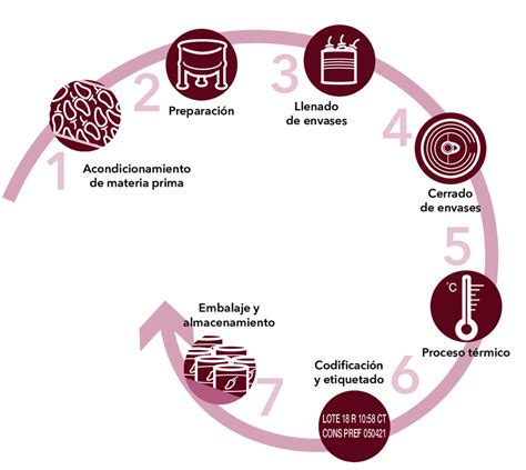 Principales Etapas En La Elaboraci N De Un Alimento Enlatado