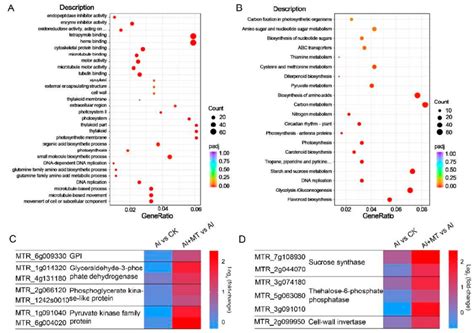 Enrichment Analysis Of Differentially Expressed Genes Degs On Go