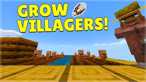 How To Grow Villagers In Minecraft Pe Mod Youtube