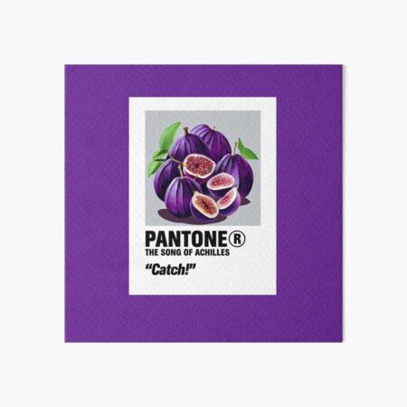 The Song Of Achilles TSOA PANTONE Art Board Print For Sale By