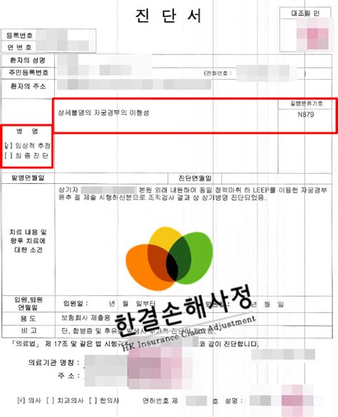 자궁경부 이형성증 상피내암 진단비 처리 건 N879 코드 네이버 블로그