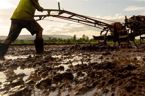 Enfrentando a escassez de mão de obra no campo soluções para o futuro