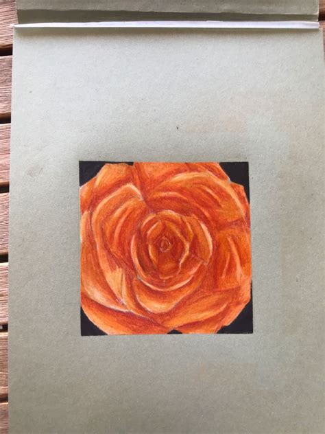 #art #coloredpencildrawing #rosedrawing #rose #coloredpencilart #orange ...