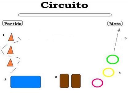 Que Es El Circuito De Accion Motriz