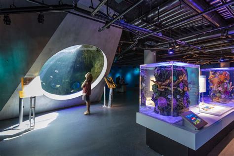 Miami Frost Museum Of Science And Planetarium Entry Ticket Getyourguide