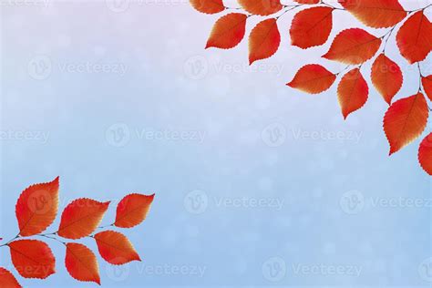 autumn landscape with bright colorful foliage. Indian summer. 10017363 ...