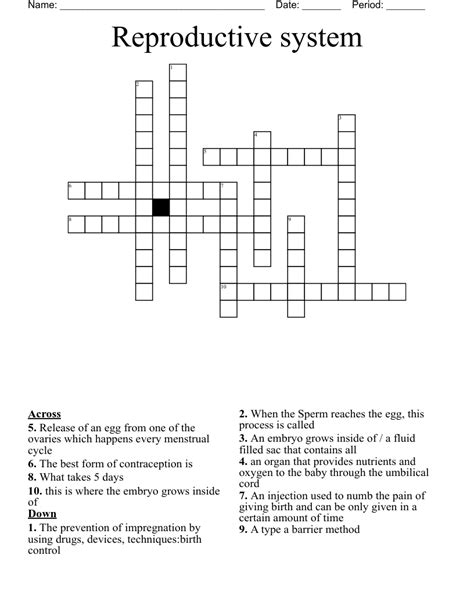 Reproductive System Crossword Wordmint