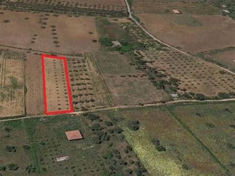 Terreno Agricolo Partinico Rif 112527517 Immobiliare It