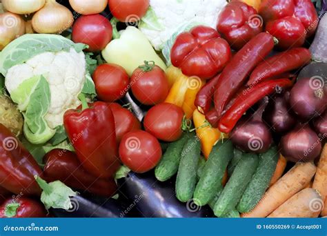 Various Freshly Picked Harvested Vegetables Stock Image Image Of