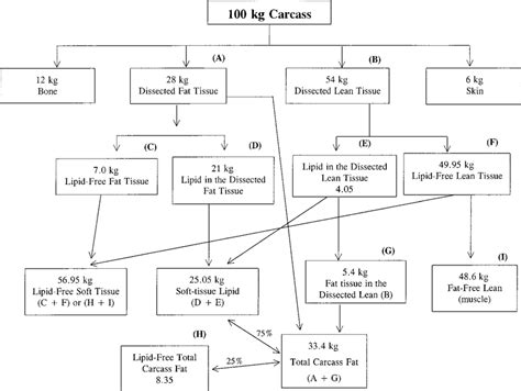 Steps To Calculate Carcass Composition End Points 1 Dissection Of The Download Scientific